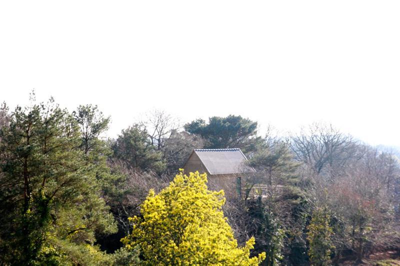 Villa La Carri'Air Pont-Aven Exterior foto